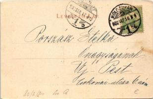 1902 Kolozsvár, Cluj; Erzsébet királyné (Sissi) szobor. Rigó Árpád kiadása / monument, statue of Emp...