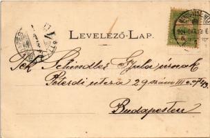 1904 Marosvásárhely, Targu Mures; Bolyai utca, Pap Zsigmond üzlete / street view, shops