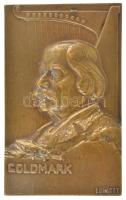 Lukácsy Lajos (1876-1927) DN Goldmark (Károly) egyoldalas bronz plakett, peremén SMB gyártói jelzéssel (90x57mm) T:1-,2 patina