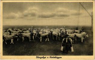 Hortobágy, Bikagulya a Hortobágyon, magyar folklór (EK)