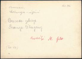 cca 1910-1920 Brassó környéki hegyek, Bucsecs, Sztrunga-átjáró, Erdélyi Mór (1866-1934) felvétele, h...