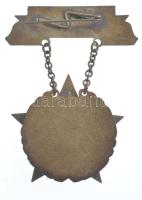 ~1950. "Kiváló Műszaki Dolgozó" babérkoszorús, Rákosi-címeres, zománcozott bronz kitünteté...