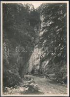 cca 1910-1920 Brassó vidéki hegyek, Propásta, Erdélyi Mór (1866-1934) felvétele, hátoldalán feliratozott fotó, 16x11,5 cm / cca 1910-1920 Brasov (Kronstadt), Propasta mountain pass, vintage photo by Mór Erdélyi, 16x11.5 cm