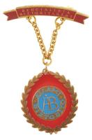 ~1980. "Szocialista Biztosításért - Állami Biztosító" aranyozott, zománcozott kitüntető jelvény eredeti "ÁB" tokban T:1-