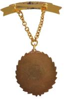 ~1980. "Szocialista Biztosításért - Állami Biztosító" aranyozott, zománcozott kitüntető je...