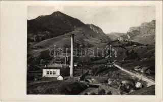 Verespatak, Goldbach, Rosia Montana; gyár / lesia / factory. photo