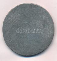 1889. "II. Rákóczi Ferenc" egyoldalas bronz emlékérem, peremén "1889" és "K...