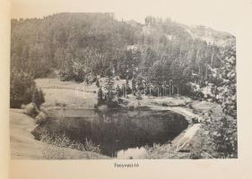 cca 1910 Verespatak és környéke (Rosia Montană, Erdély), album 17 db fekete-fehér képpel (Csíky Lajo...