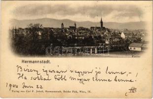 1900 Nagyszeben, Hermannstadt, Sibiu; látkép. Carl F. Jickeli kiadása / general view