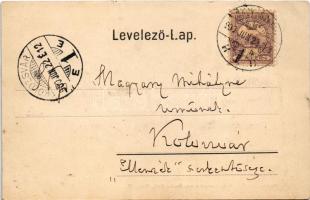 1900 Nagyszeben, Hermannstadt, Sibiu; látkép. Carl F. Jickeli kiadása / general view