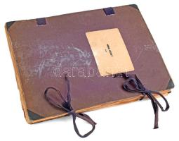 1935 Szárított növénygyűjtemény (herbárium), a lapokon feliratozva, dátumozva, Máhr József tulajdono...