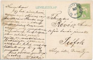 Trencsén, Trencín; a vár 200 évvel ezelőtt. Wertheim Zsigmond kiadása / Die Trenschiner Burg vor 200...