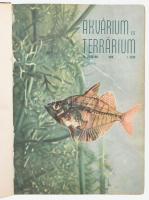 1956-1959 Akvárium és Terrárium folyóirat I-IV teljes évfolyamai. A III-IV. évfolyam félvászon-kötés...