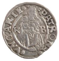 1544K-B Denár Ag "I. Ferdinánd" (0,46g) T:1- patina
Hungary 1544K-B Denar Ag "Ferdin...