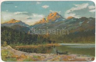 Telemark, Telemarken; Landscape art postcard s: Müller (cut)