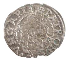 1556K-B Denár Ag "I. Ferdinánd" (0,42g) T:2 kitörés
Hungary 1556K-B Denar Ag "Ferdin...