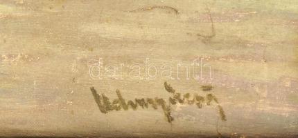 Udvary Géza (1872-1932): Várrom. Olaj vászon, sérült. Sérült, kopott keretben, jelzett. 55x60 cm