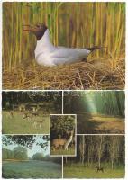 30 db MODERN állatos motívum képeslap / 30 modern animal motive postcards