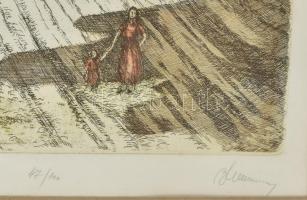 Blahos Rudolf (1917-1986): Erdei út. Színezett rézkarc, papír, jelzett, számozott (47/100), üvegezet...