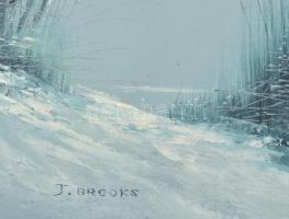 J. Brooks jelzéssel: Tengerparti hangulat. Olaj, vászon, faroston. Dekoratív fakeretben. 53x63 cm