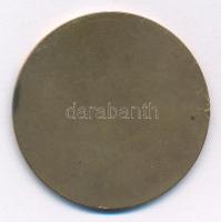 Szántó Gergely (1886-1962) 1927. "Királyi Magyar Egyetemi Nyomda" bronz emlékérem (40mm) T...