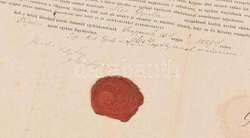 1888 Helvét egyháztanítói oklevél 50x80 cm