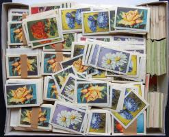 KB 6500 db magyar gyufacímke dobozban