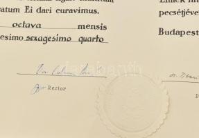 1964 ELTE jogi diploma és hozzá tartozó leckekönyv