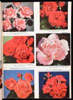 cca 1950-1980 16 db rózsákkal foglalkozó kiadvány, közte magyar, angol, francia, német nyelvűek, veg...