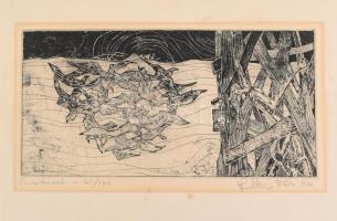 Stettner Béla (1928-1984): Madarak, 1974. Rézkarc, papír, jelzett. Számozott (41/100). Lapon apró foltokkal. 14,5x29,5 cm.