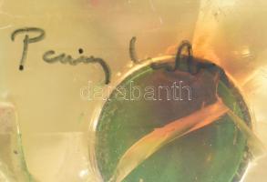 Paizs László (1935-2009): Stella Artois. Műgyanta. Jelzett. m: 28 cm