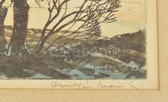 Csurgói Máté Lajos (1931-2001): Somogyi hangulat. Színes rézkarc, papír, jelzett. Üvegezett fakeretb...