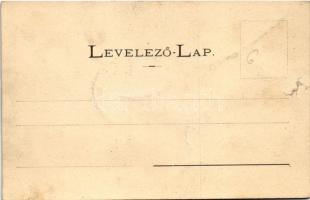 Zajzon, Zaizon-fürdő, Zajzonfürdő, Zizin; Lobogó, Vasas kút. Brassói Lapok könyvnyomda kiadása / spr...