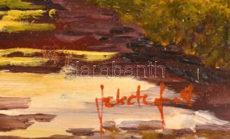 Fekete Zsolt (1964-): Belső udvar. Olaj, farost, jelzett, dekoratív fakeretben. 40×50 cm