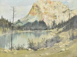 Neogrády Antal (1944-): Tengerszem. Olaj, falemez, jelezve jobbra lent (halványan), fakeretben, 43×5...