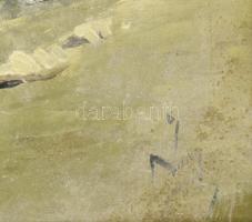 Neogrády Antal (1944-): Tengerszem. Olaj, falemez, jelezve jobbra lent (halványan), fakeretben, 43×5...