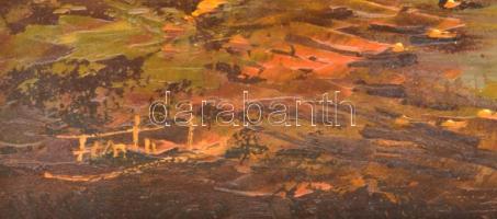 Finta László (1944-): Vízparti táj. Olaj, farost, jelzett. Dekoratív fakeretben, 50×70cm