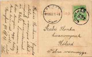 1911 Bonyhád, Főtér, Szálloda az Arany Oroszlánhoz (Erdős Zsigmond), étterem, sörcsarnok és kávéház,...