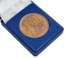 Fritz Mihály (1947-) DN "Pedagógus Szolgálati Emlékérem" bronz emlékérem dísztokban (42,5m...