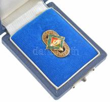 ~1960. "Testnevelés és Sport Érdemes Dolgozója" aranyozott, zománcozott fém jelvény eredet...