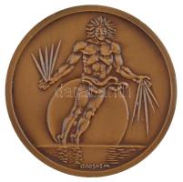 Borsos Miklós (1906-1990) 1980. "XXVIII. International Congress of Physiological Sciences Budap...