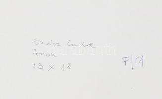 Szász Endre (1926-2003): Férfi fej. Tus, papír, jelzett, bársony hatású borítással rendelkező paszpa...