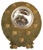 DN "A szabad jászok kerületének czimere" zománcozott, műgyantás fém kitűző, hátoldalán &qu...