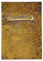 1972. "Paks Dft" zománcozott fém kitűző (35x25mm) T:2