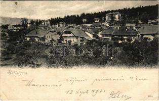 1901 Ballaigues, general view (EK)