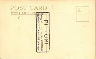 Temesvár, Timisoara; hölgy / lady. Pittoni photo