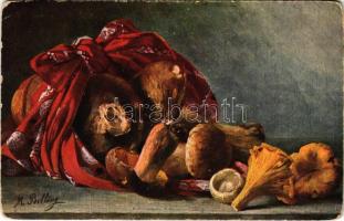 Still life art postcard with mushroom. Serie 305. s: M. Billing (kopott sarkak / worn corners)