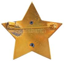 1974. "A Szocialista Kultúráért" zománcozott kitüntető jelvény, eredeti tokban T:1-