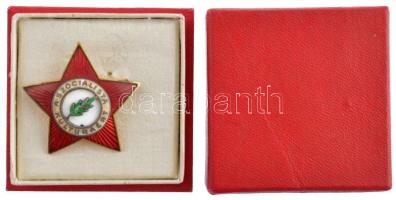 1974. "A Szocialista Kultúráért" zománcozott kitüntető jelvény, eredeti tokban T:1-