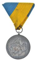 1941. "Délvidéki Emlékérem" Zn emlékérem mellszalagon. Szign.: BERÁN L. T:1- Hungary 1941....